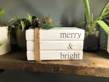 Load image into Gallery viewer, Merry & Bright Book Stack