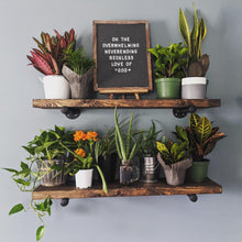 Load image into Gallery viewer, Pipe Shelves